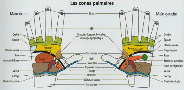 Qu'es-ce que la réflexologie